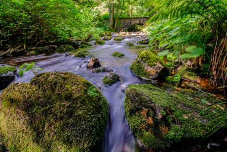 Fluss Warme Bode bei Braunlage