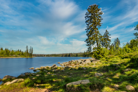 Der Oderteich im Harz