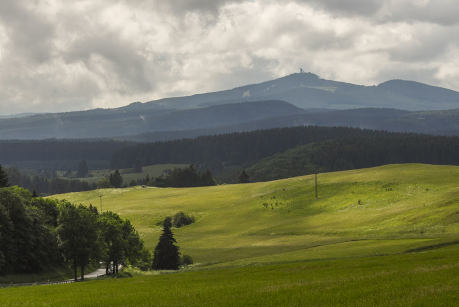 Der Wurmberg im Harz