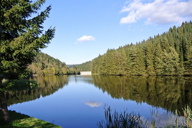 Hundefreundliche Seen im Harz