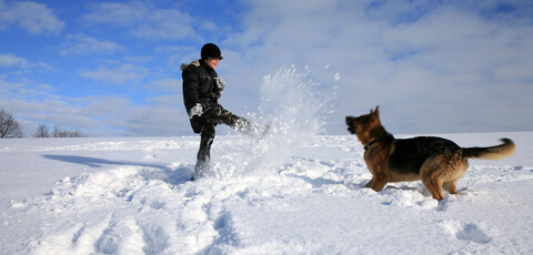 Tirol mit Hund - Spaß im Schnee