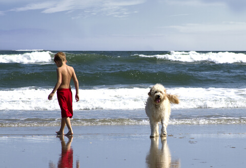 Strandurlaub mit Hund und Kind