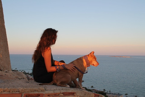 Urlaub mit Hund am Meer